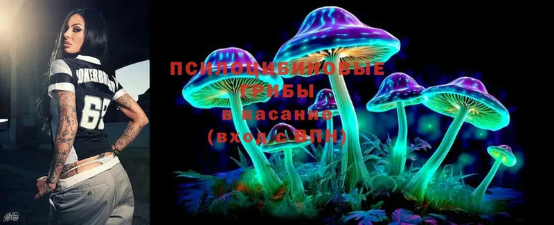 Псилоцибиновые грибы Cubensis  наркота  Белозерск 